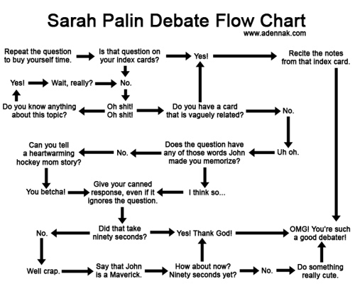palin debate chart.jpg (55 KB)